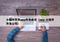 小程序开发app开发南京（app 小程序开发公司）